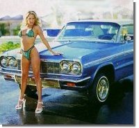 impala2.jpg